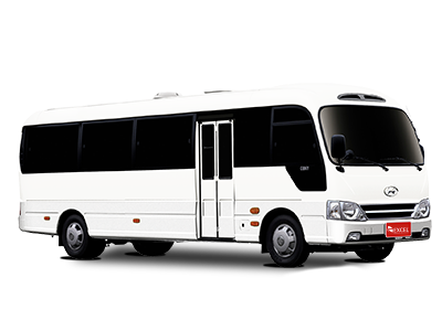 Minibús Hyundai Country: 28 pasajeros